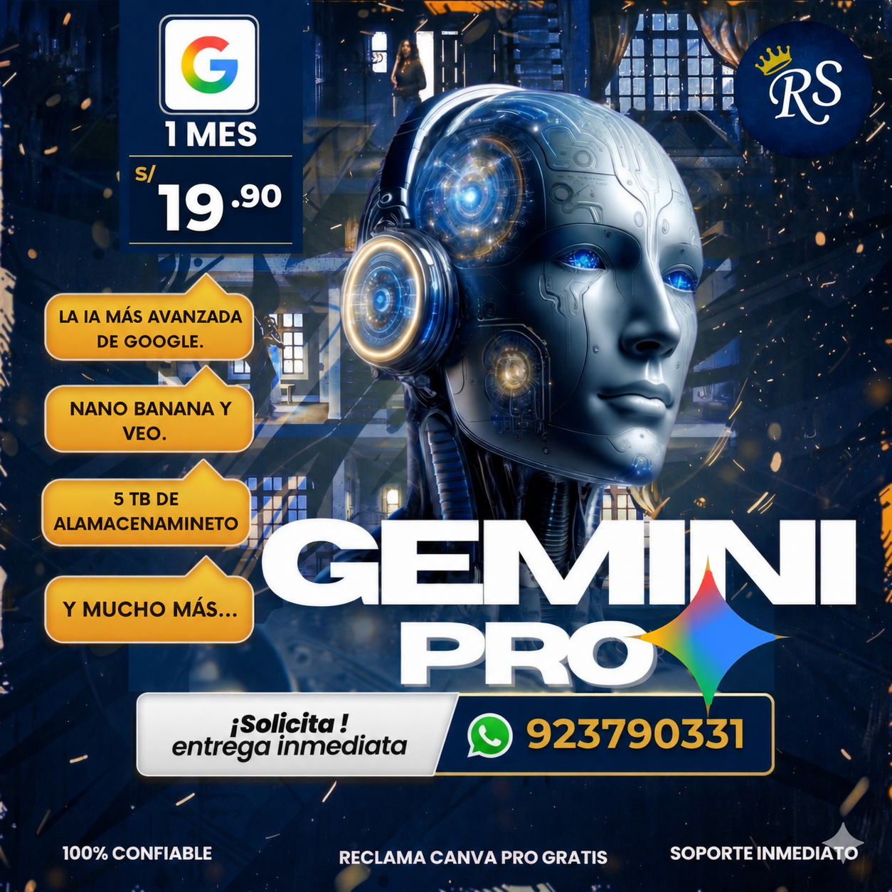 GEMINI PRO X 18 MESES